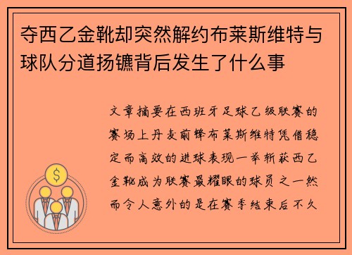 夺西乙金靴却突然解约布莱斯维特与球队分道扬镳背后发生了什么事 夺西乙金靴却突然解约布莱斯维特与球队分道扬镳背后发生了什么事